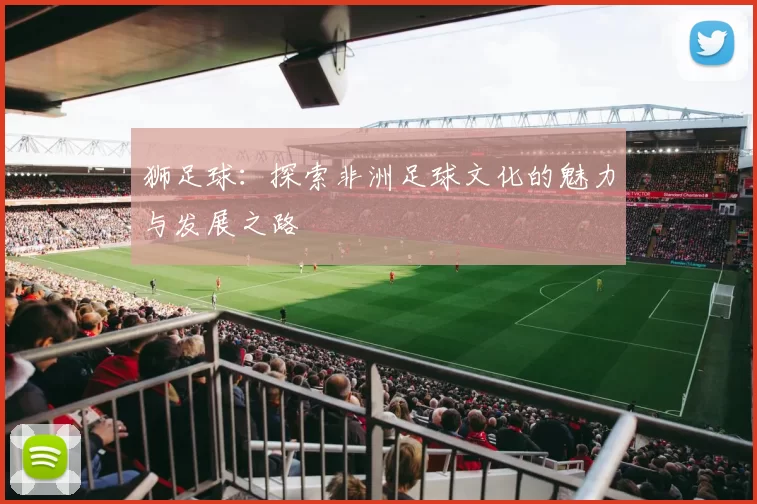 狮足球：探索非洲足球文化的魅力与发展之路